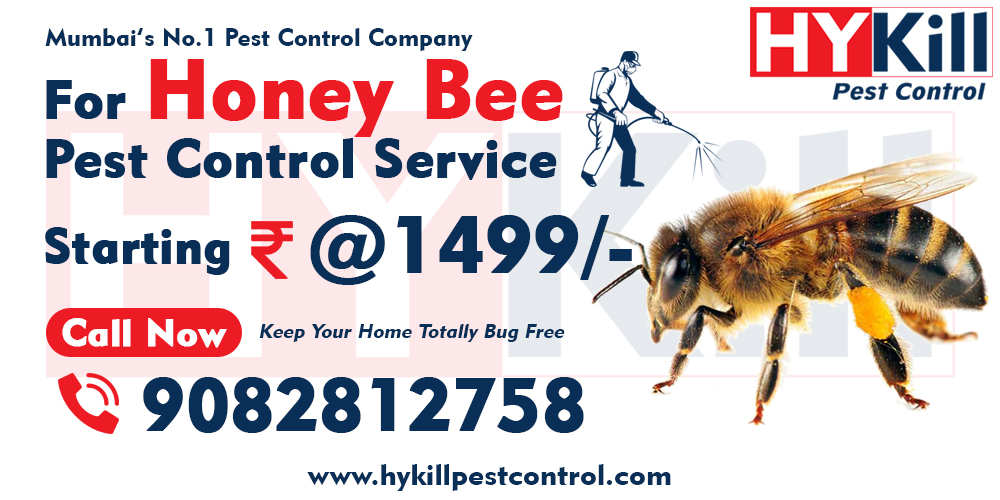 Honey Bee Pest Control